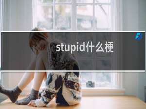 stupid什么梗