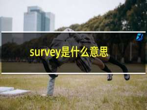 survey是什么意思英语