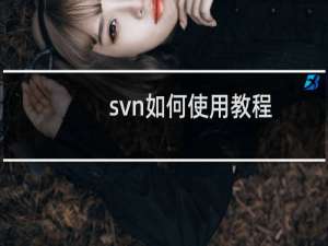 svn如何使用教程（公司新人svn使用教程）