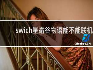 swich星露谷物语能不能联机