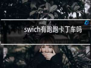 swich有跑跑卡丁车吗