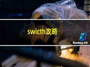 swicth攻略