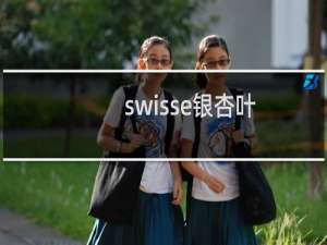 swisse银杏叶