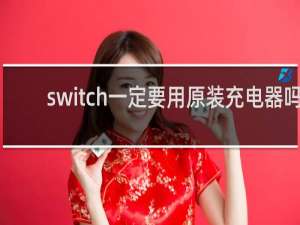 switch一定要用原装充电器吗