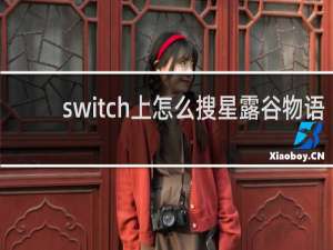 switch上怎么搜星露谷物语