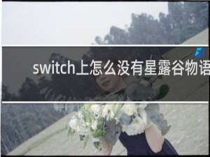 switch上怎么没有星露谷物语