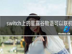 switch上的星露谷物语可以联机吗