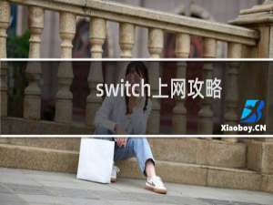 switch上网攻略
