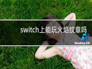 switch上能玩火焰纹章吗