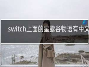 switch上面的星露谷物语有中文吗