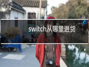 switch从哪里进货