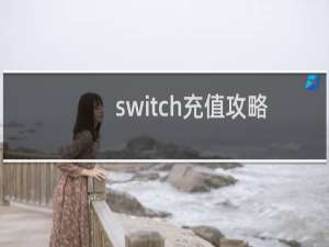 switch充值攻略