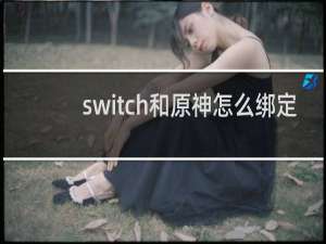 switch和原神怎么绑定