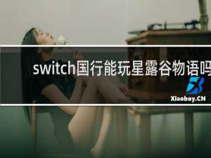 switch国行能玩星露谷物语吗