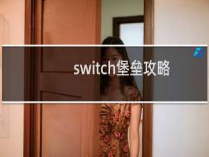 switch堡垒攻略