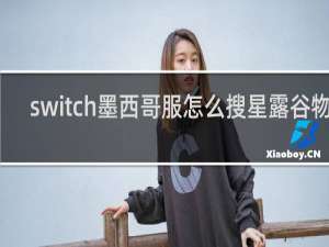 switch墨西哥服怎么搜星露谷物语