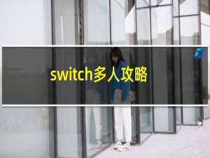 switch多人攻略