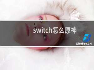 switch怎么原神
