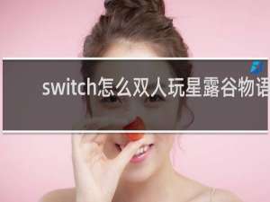 switch怎么双人玩星露谷物语
