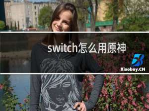 switch怎么用原神