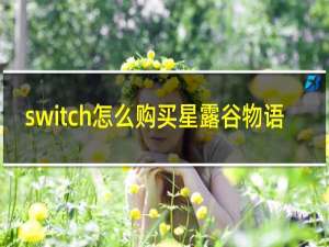 switch怎么购买星露谷物语