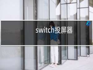 switch投屏器