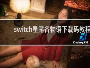 switch星露谷物语下载码教程
