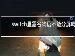 switch星露谷物语不能分屏吗