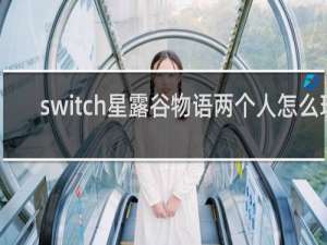 switch星露谷物语两个人怎么玩