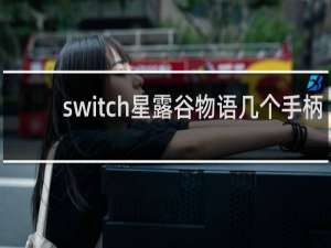 switch星露谷物语几个手柄