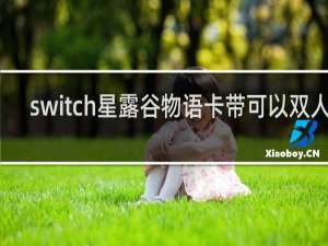 switch星露谷物语卡带可以双人吗