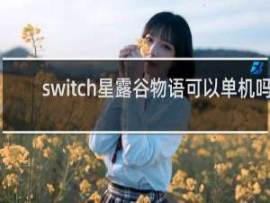 switch星露谷物语可以单机吗