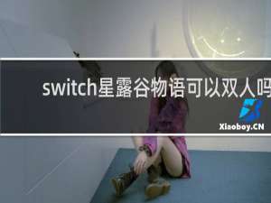 switch星露谷物语可以双人吗