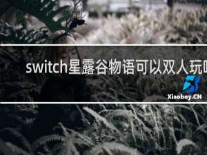 switch星露谷物语可以双人玩吗