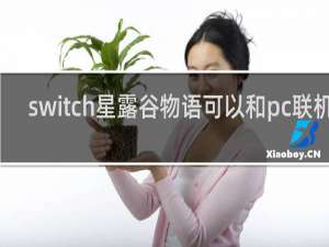 switch星露谷物语可以和pc联机吗