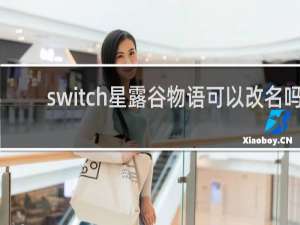 switch星露谷物语可以改名吗