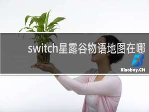 switch星露谷物语地图在哪
