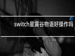 switch星露谷物语好操作吗