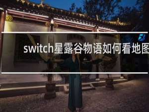 switch星露谷物语如何看地图