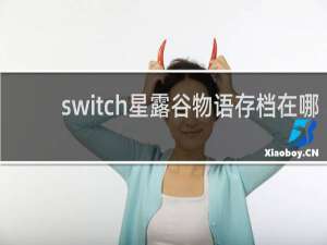 switch星露谷物语存档在哪