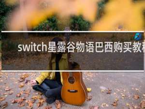 switch星露谷物语巴西购买教程