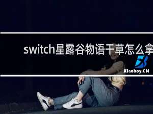 switch星露谷物语干草怎么拿