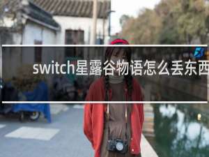 switch星露谷物语怎么丢东西