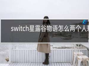 switch星露谷物语怎么两个人玩