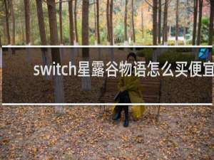 switch星露谷物语怎么买便宜