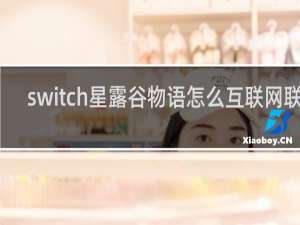 switch星露谷物语怎么互联网联机