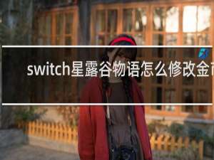 switch星露谷物语怎么修改金币