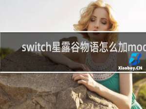 switch星露谷物语怎么加mod