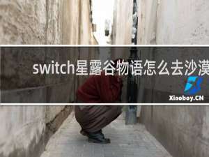 switch星露谷物语怎么去沙漠