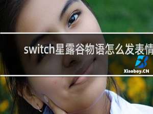 switch星露谷物语怎么发表情